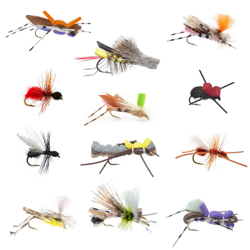 Trout Fly Assortment - Premium Terrestrial Flies - 12 Essential Hoppers, Ants and Beetles with Fly Box