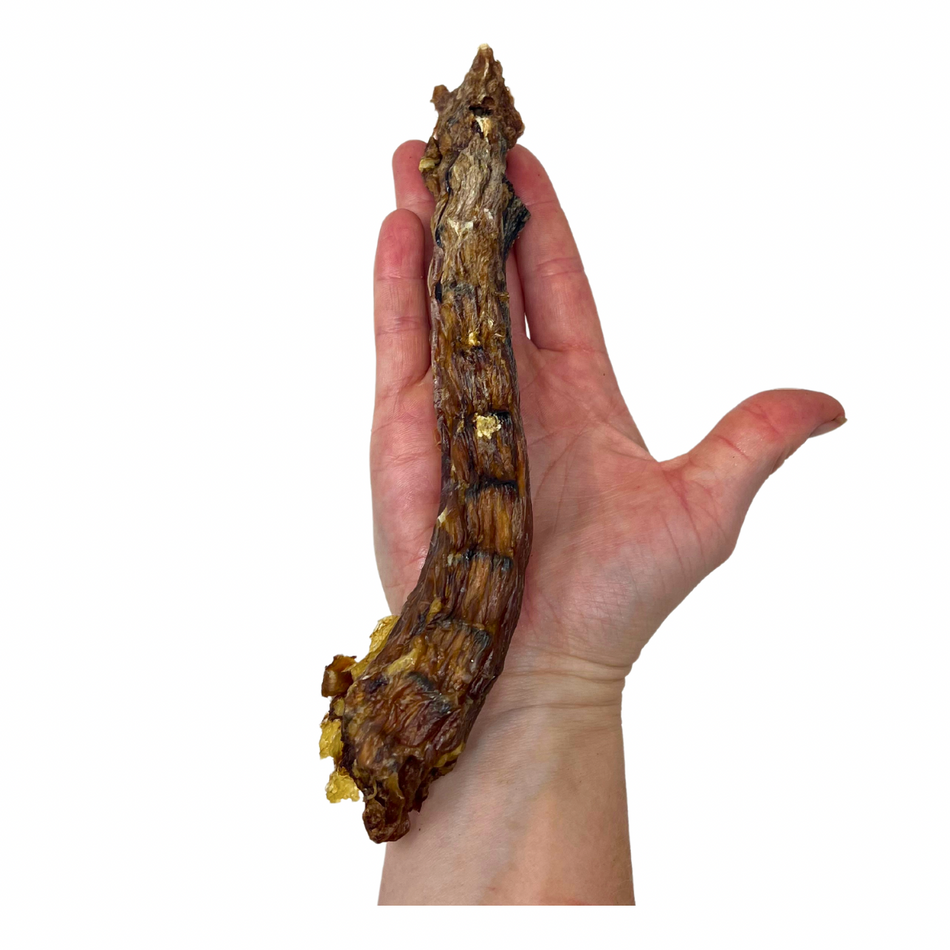 Dehydrated Duck Necks