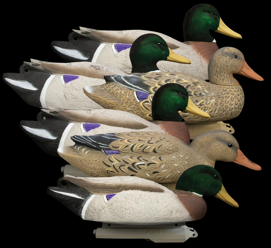 Higdon Battleship Flocked Head Mallards Duck Decoys - 6 Pack