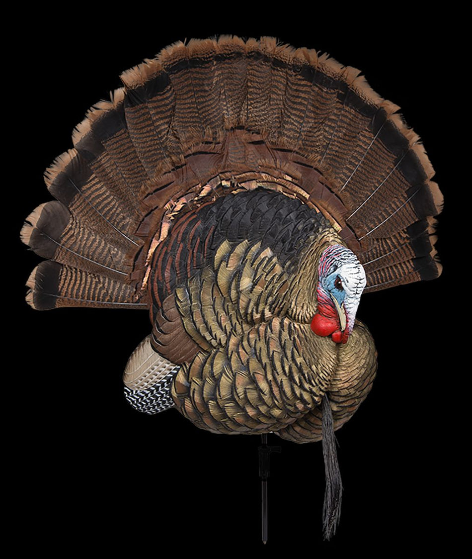 Avian X Trophy Tom Turkey Decoy - No Fan