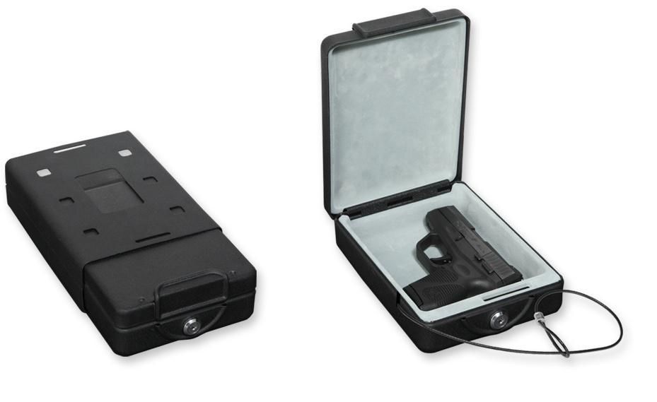 Bulldog Keyed Car Safe