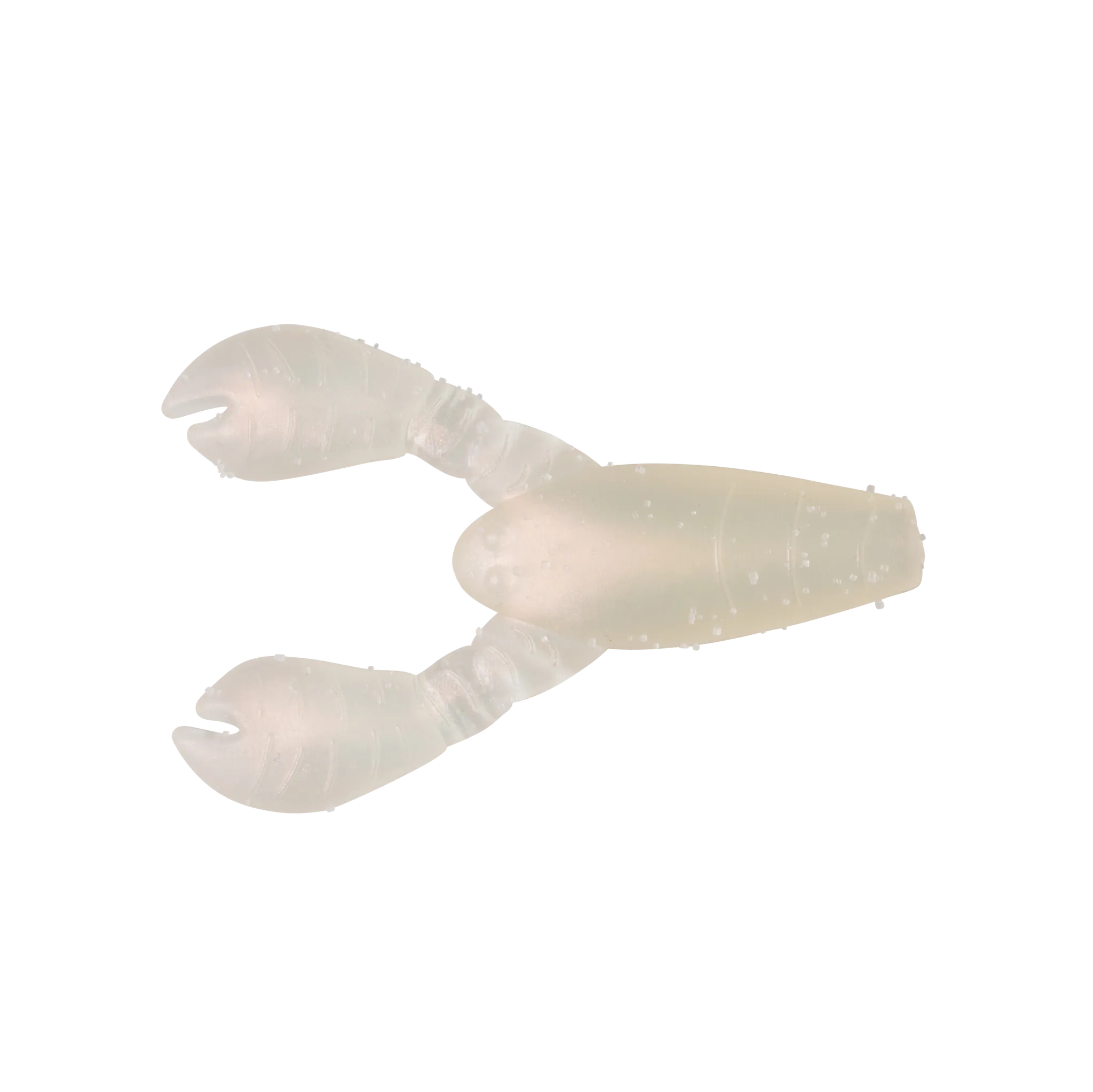 PRGLFSC21006