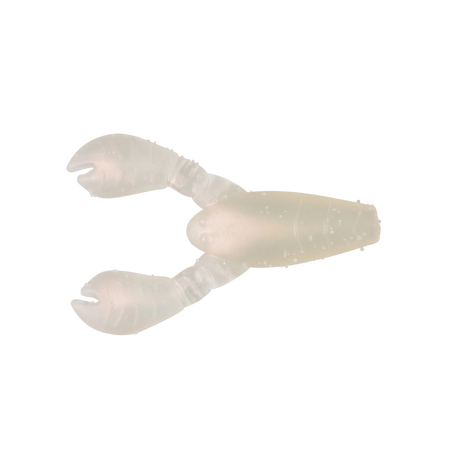 PRGLFSC21006