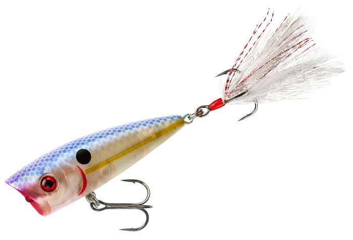 PRBYBP315