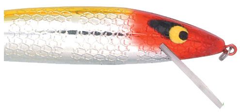 PRASDRB1235