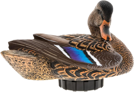 AVX-PSH-MHPR
