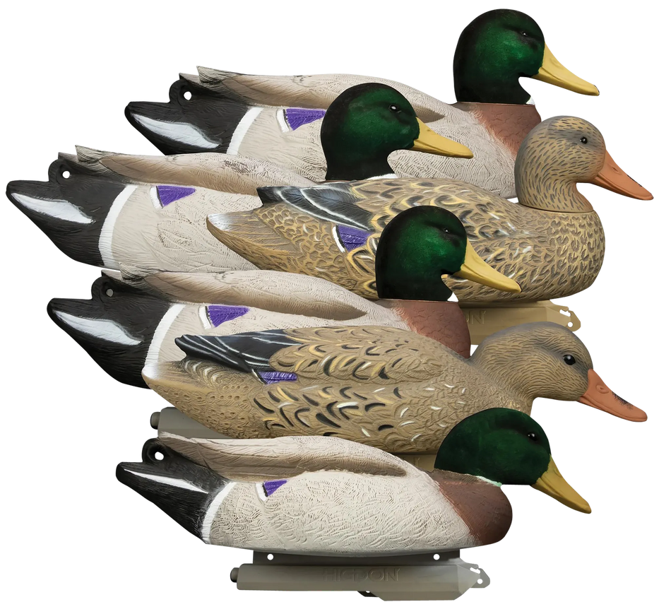 Higdon Battleship Flocked Head Mallards Duck Decoys - 6 Pack