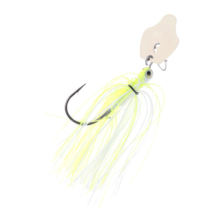 SKTCVSJT34203