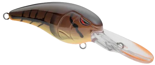 GUSRCD50NBC