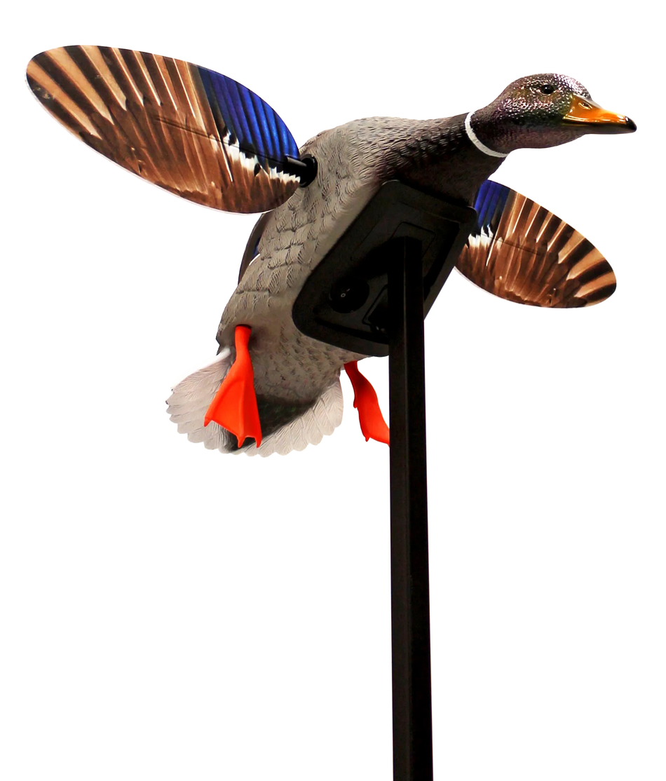 Mojo Elite Series Mini Mallard Drake Duck Decoy