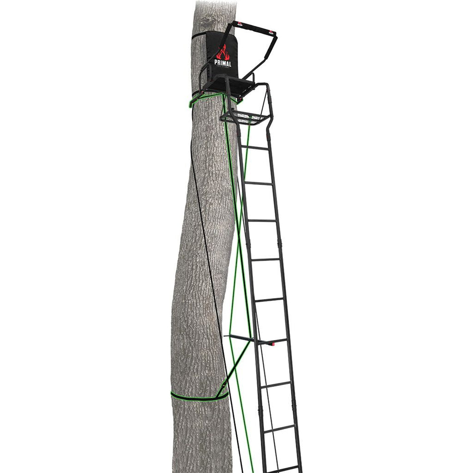 PVLS-301