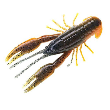 PRYCRB206