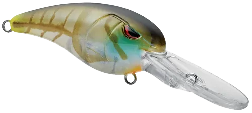 GUSRCD50CGL