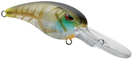 GUSRCD50CGL