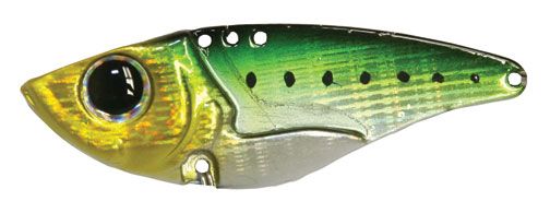 DMVAULT55003