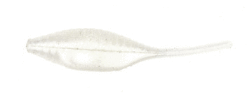 BSSA01108