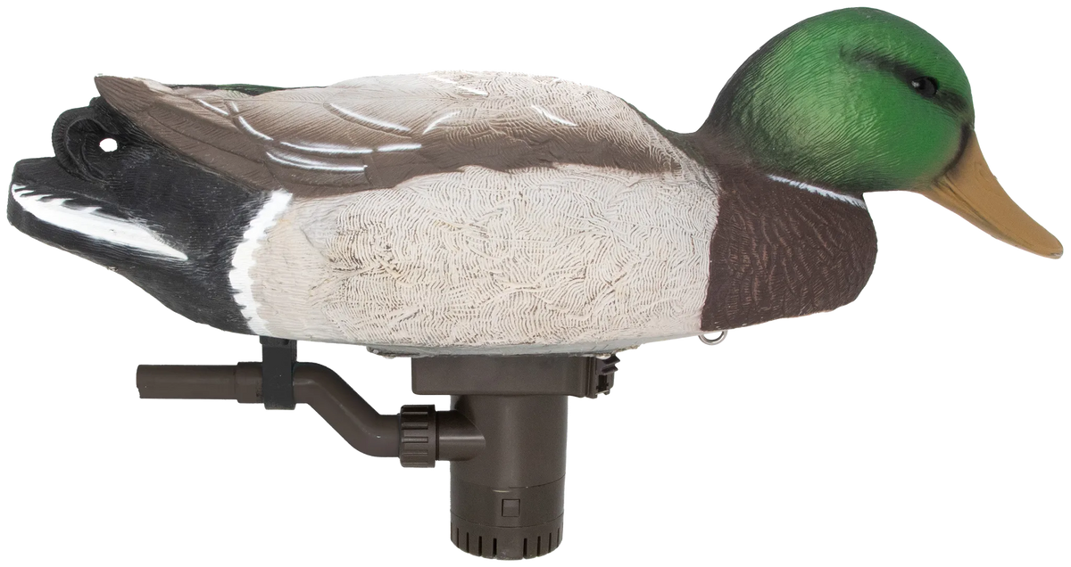 54083