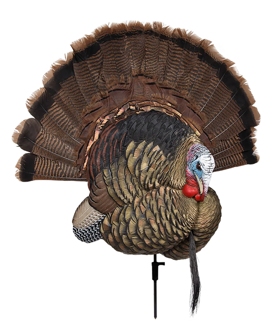 Avian X Trophy Tom Turkey Decoy - No Fan
