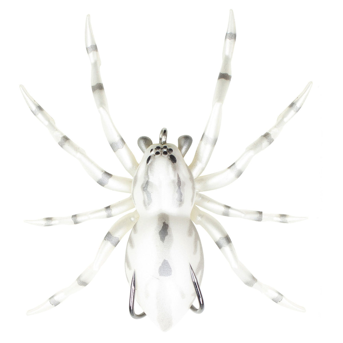 LHSPIDER06