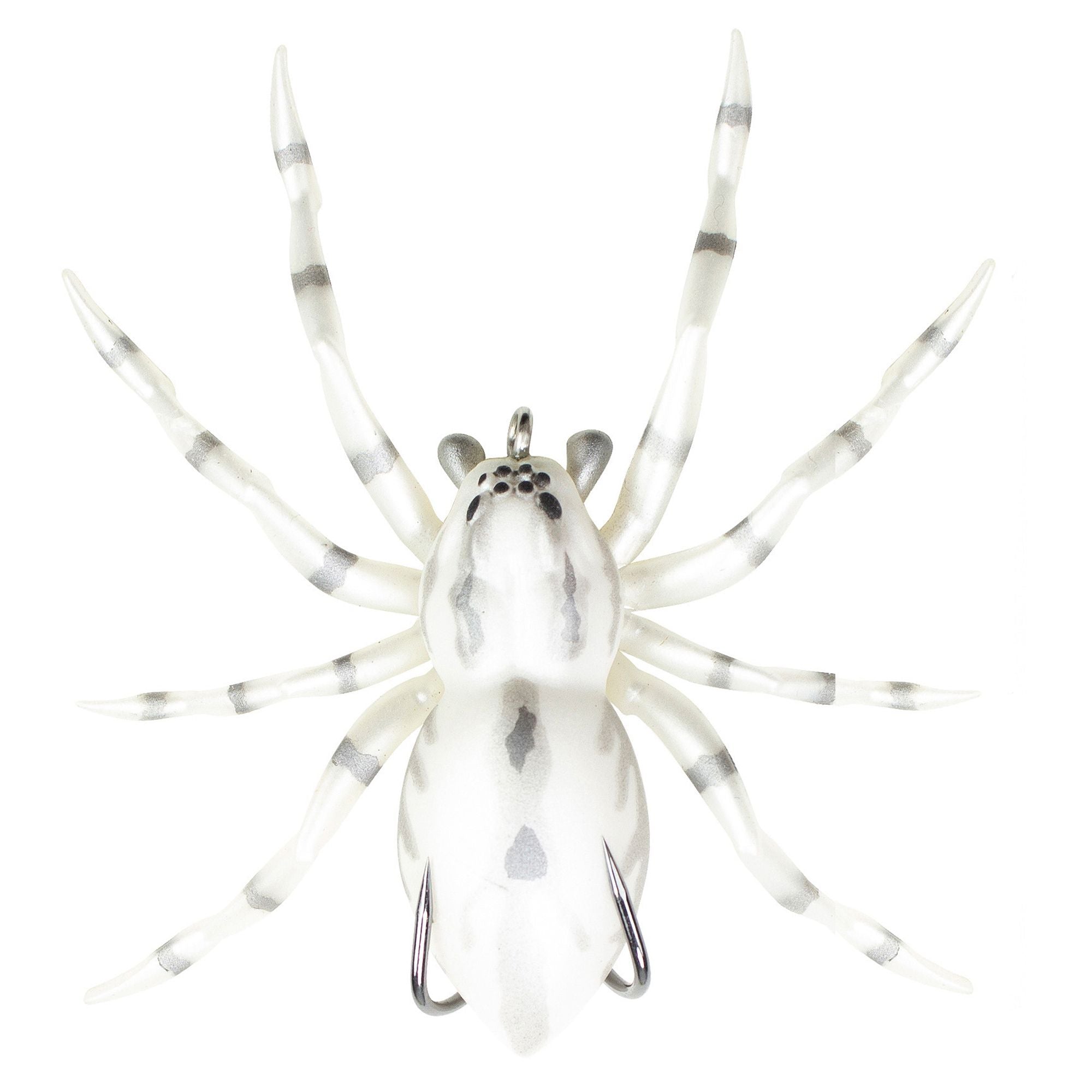 LHSPIDER06