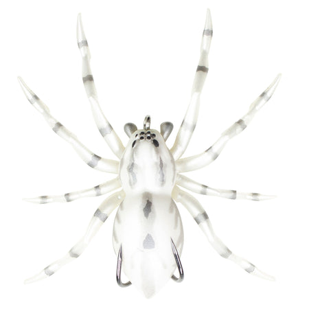 LHSPIDER06