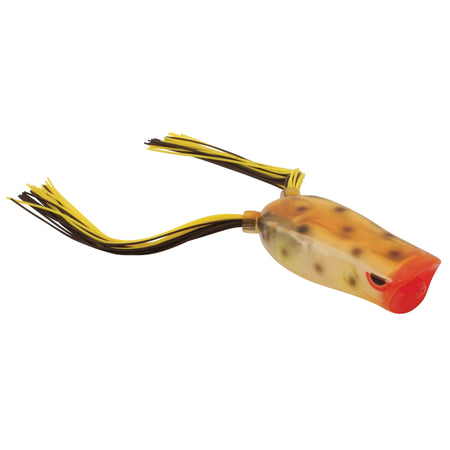 GUSBEPP60TOAD