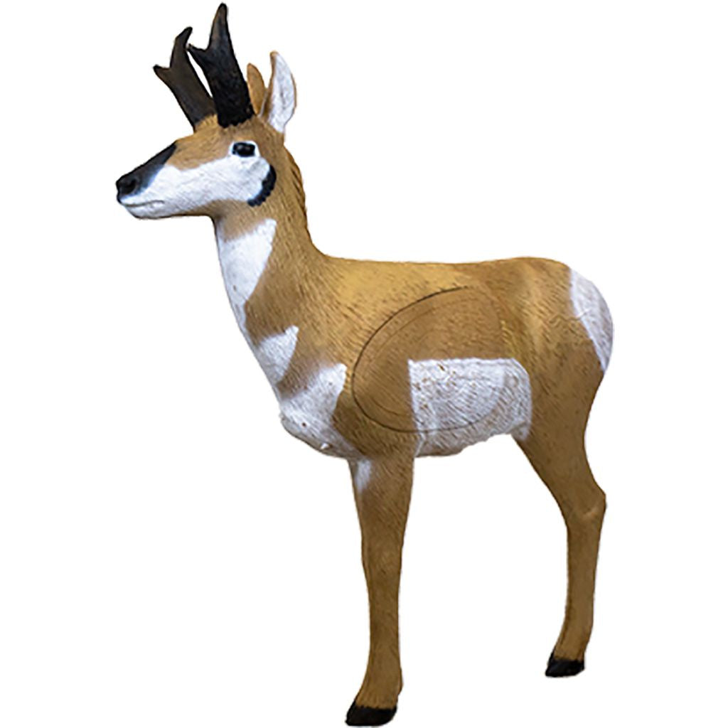 23511
