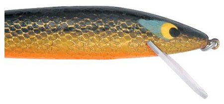 PRASDRB1269