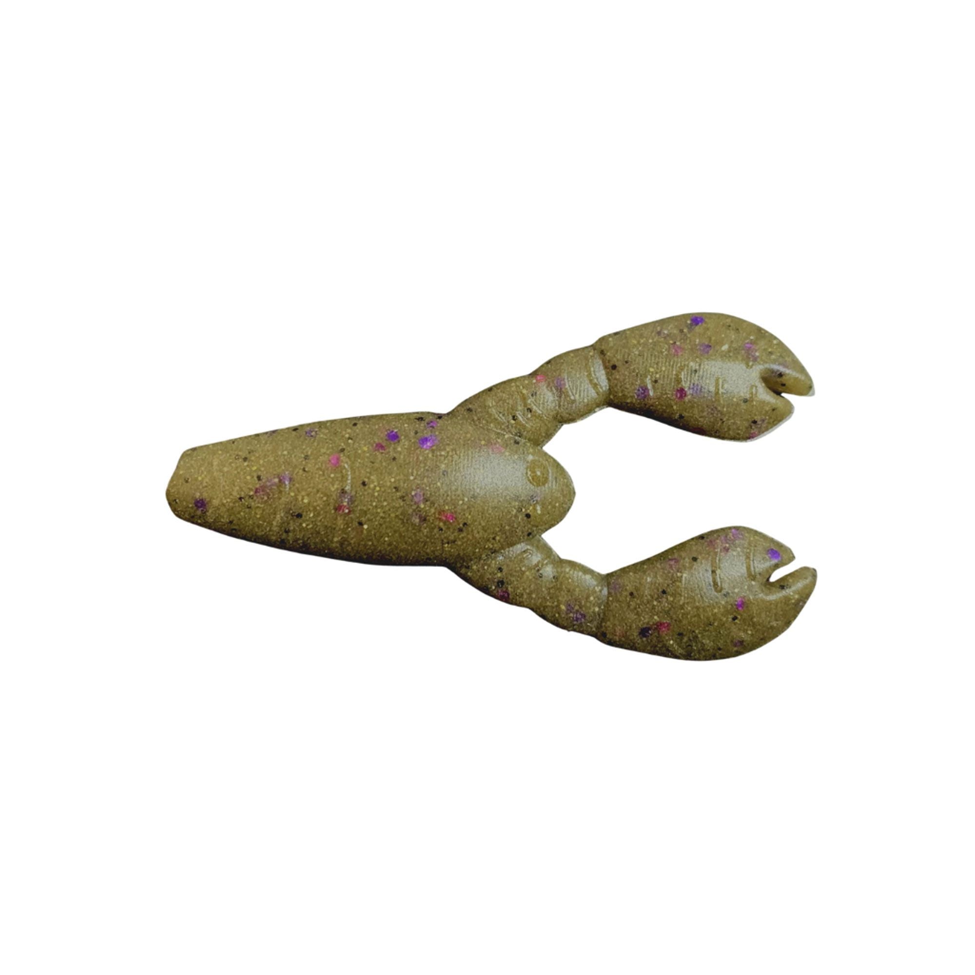 PRGLFSC21003F