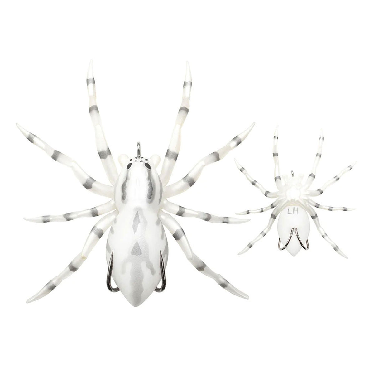 LHLSPIDER06