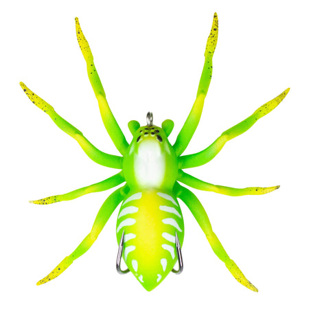 LHSPIDER03