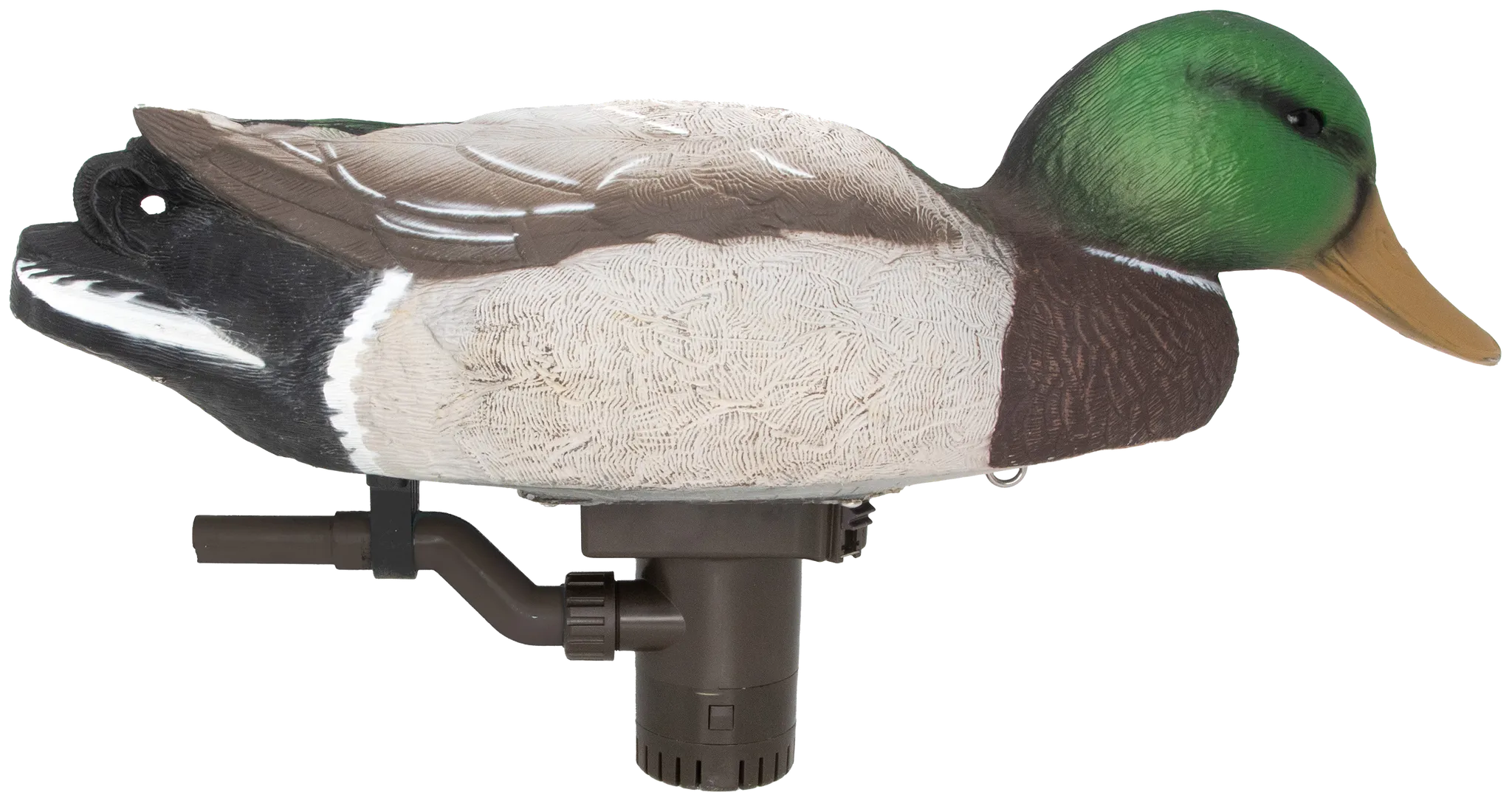54083