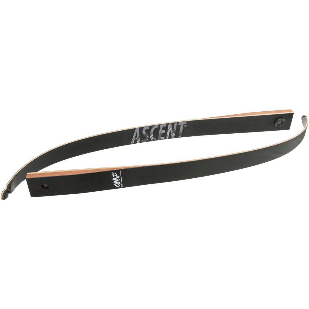 81206