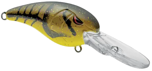 GUSRCD50OCW