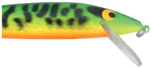 PRASSRB1207