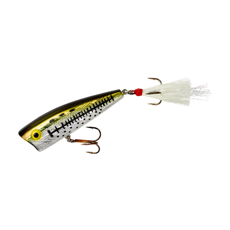 PRP6517