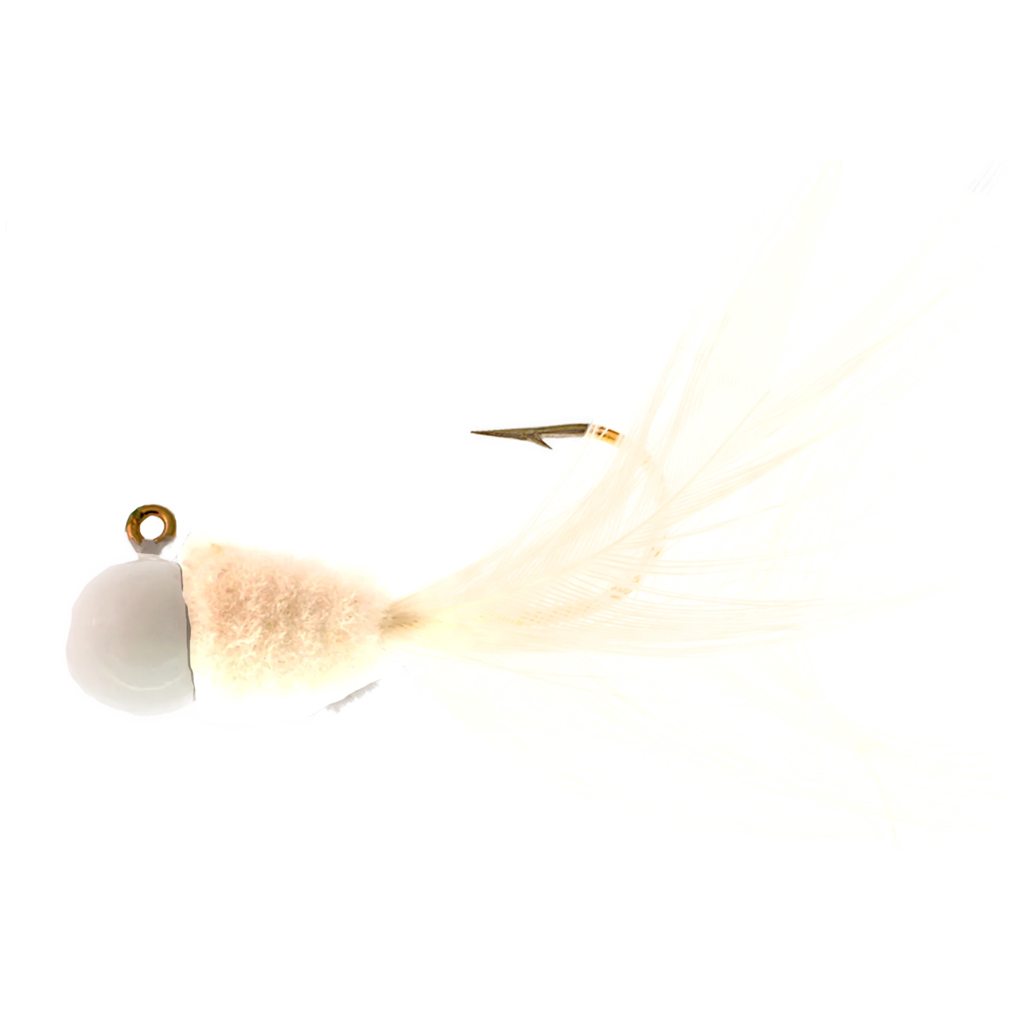 TTSD2D701