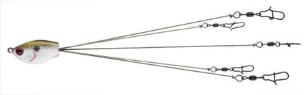 PRYUMB5TS