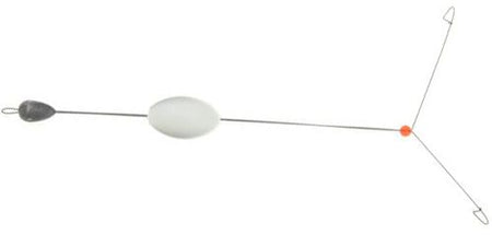 CTLAL2