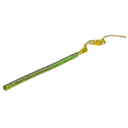 SKPPPW12100