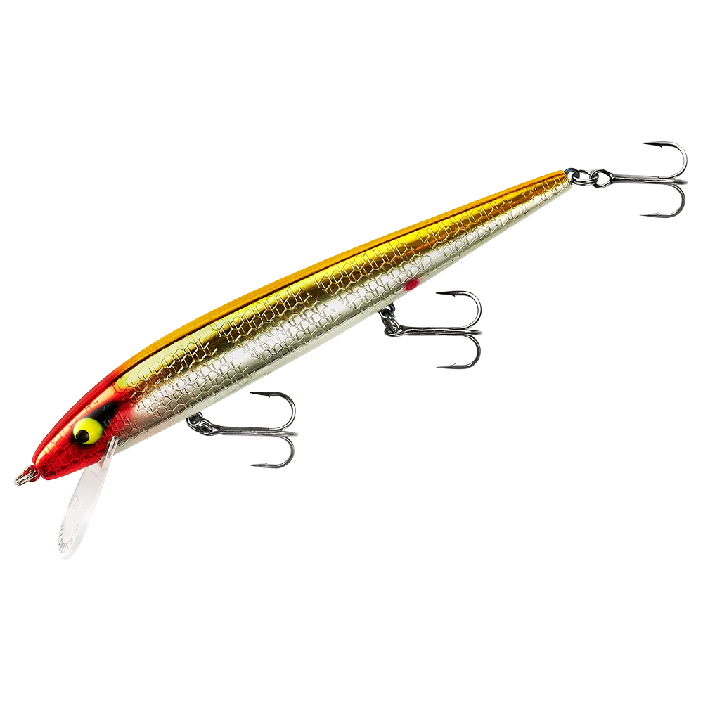 PRADR535