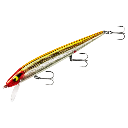 PRADR535