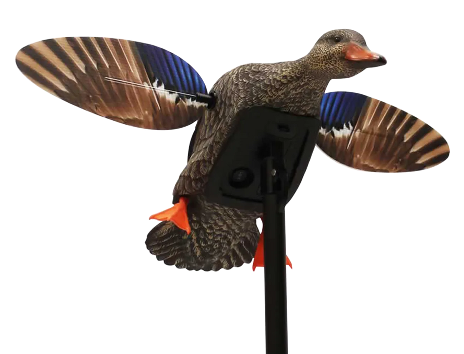 Mojo Elite Series Mini Hen Mallard Duck Decoy