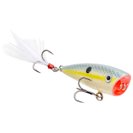 SKHCBSPL590