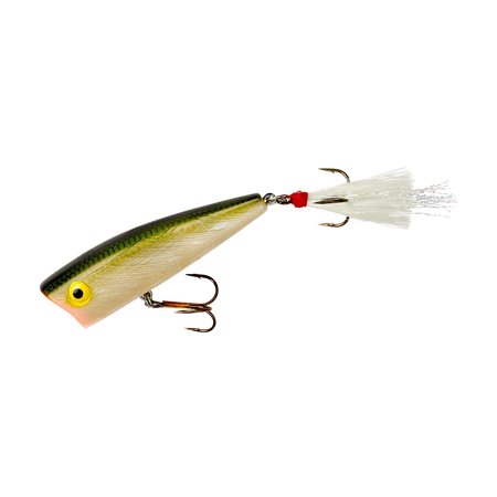 PRP6548
