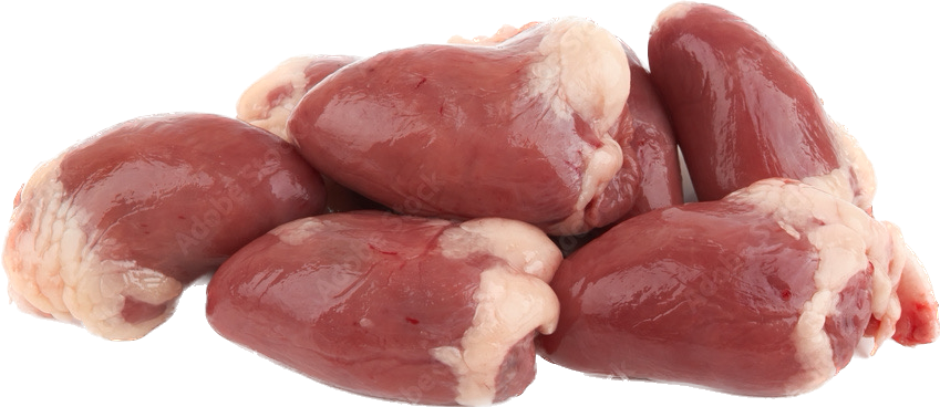 Single ingredient freeze dried chicken heart dog and cat treats