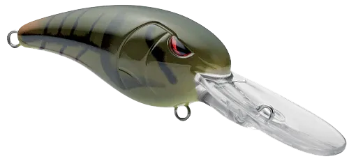 GUSRCD50PGR