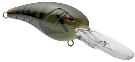 GUSRCD50PGR