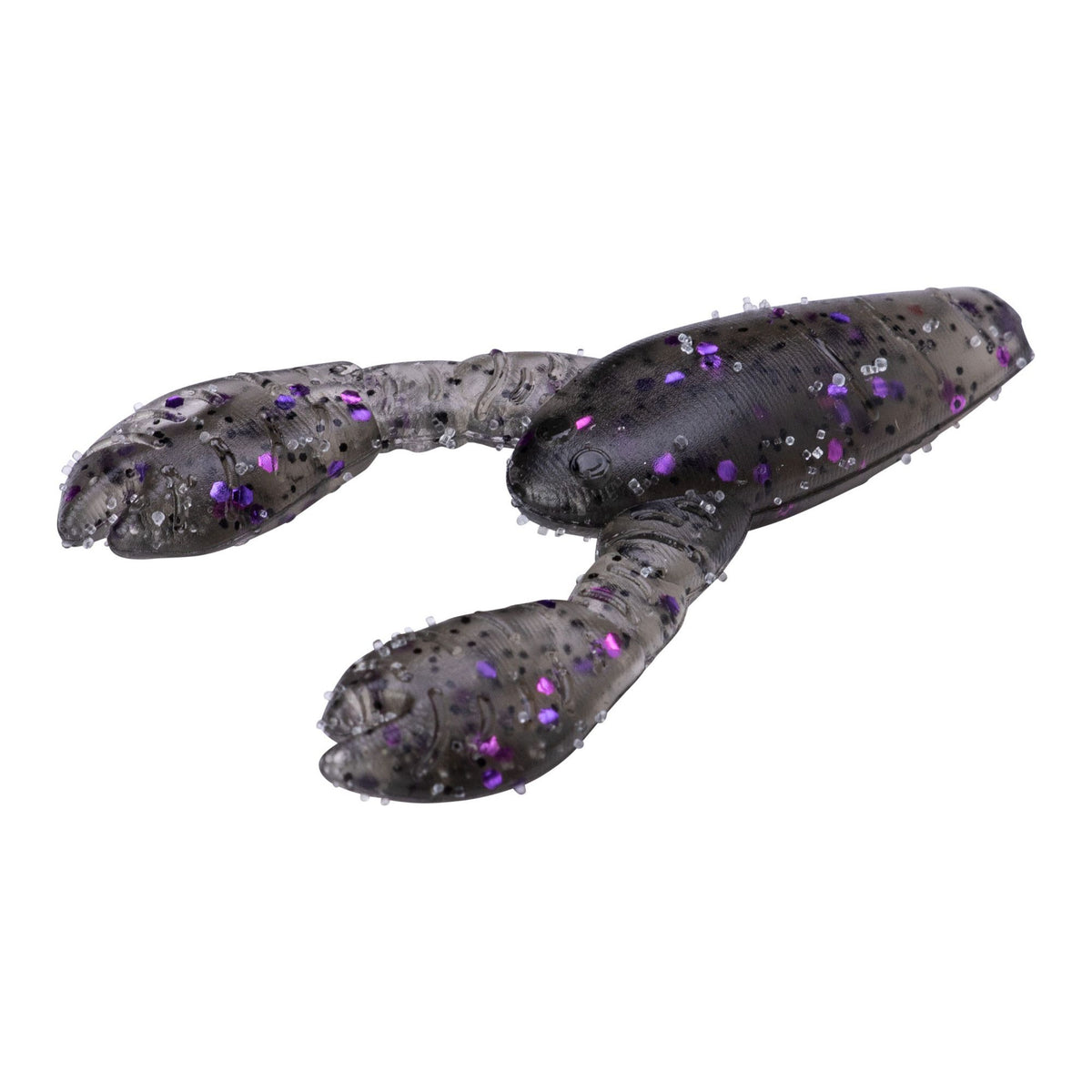 PRGLFSC21005
