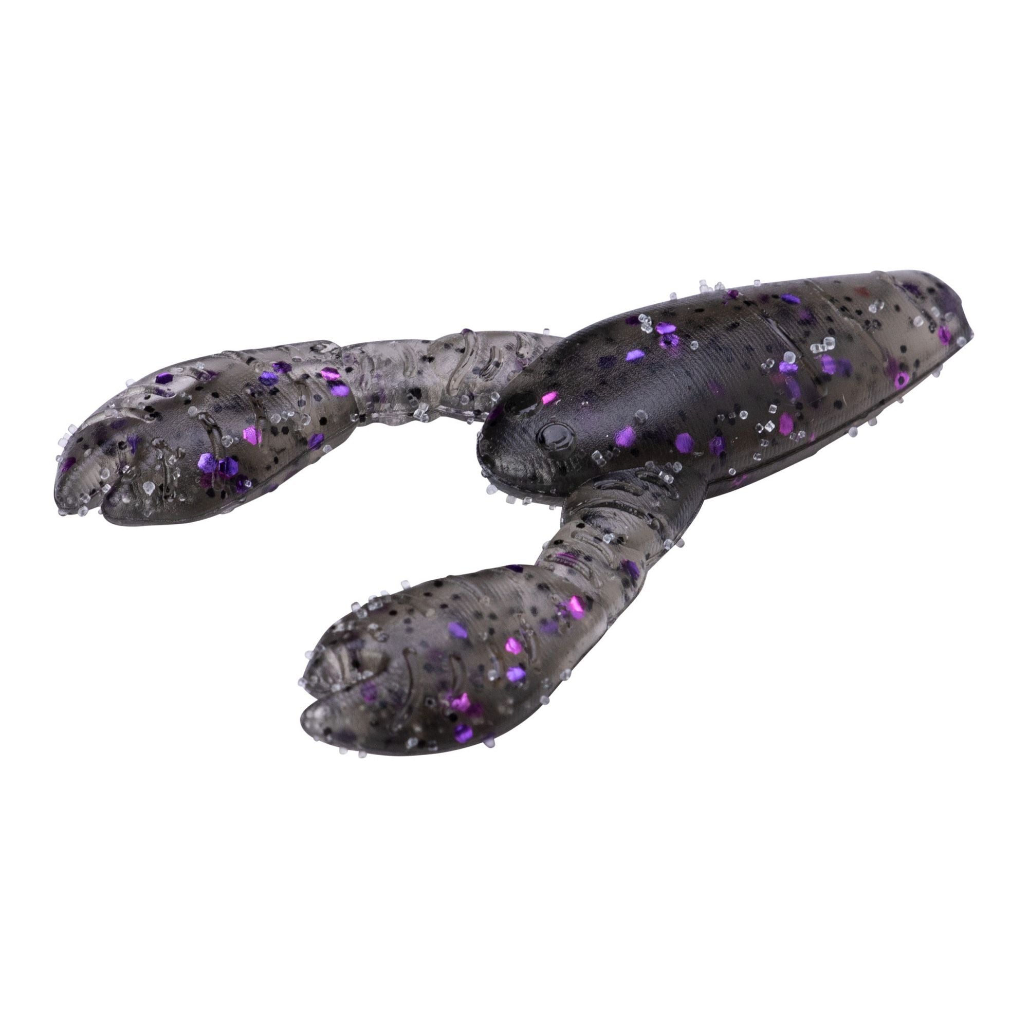 PRGLFSC21005